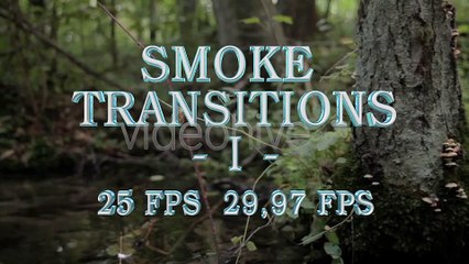 After Effects Project Files - Smoke Transistion 1 - VideoHive 8751466
