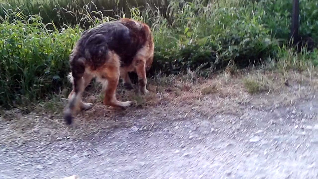 Belle en balade 3ème semaine