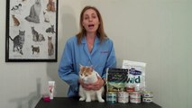 Recognizing and Managing Constipation in Cats