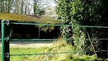 Comment réhausser une clôture à moindre coût .