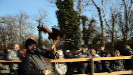 I Falconieri Di Sua Maestà