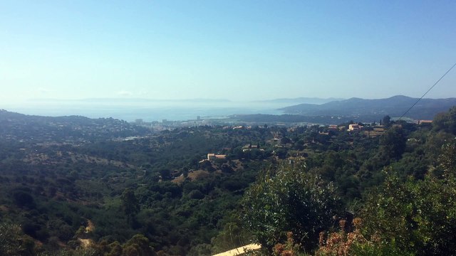 VUE SUR LA MER ET LE LAVANDOU DEPUIS LE HAUT DE BORMES LES MIMOSAS