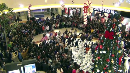 Cyprus flash mob face-off