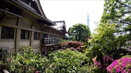 本龍院(待乳山聖天) 庭園 浅草 东京/Honryu-In Temple Garden Asakusa Tokyo/ 아사쿠사 도쿄