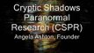 Cryptic Shadows Paranormal Activity Caught on Video -  EVPs