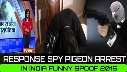 Response from Pakistan Spy Pigeon Arrest in India 2015