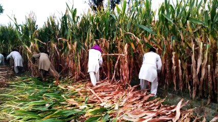 funny boy hits his co-worker funny clips