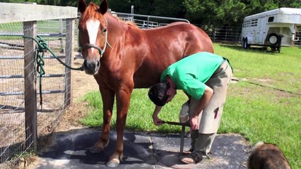 Refund Your Copper Peppy