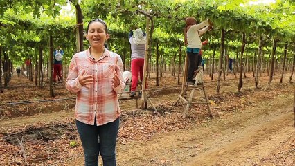 La seguridad y la salud en el trabajo: Una plataforma para la productividad