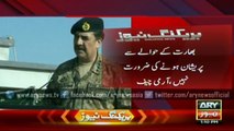 Army Chief says “no need to worry about India”