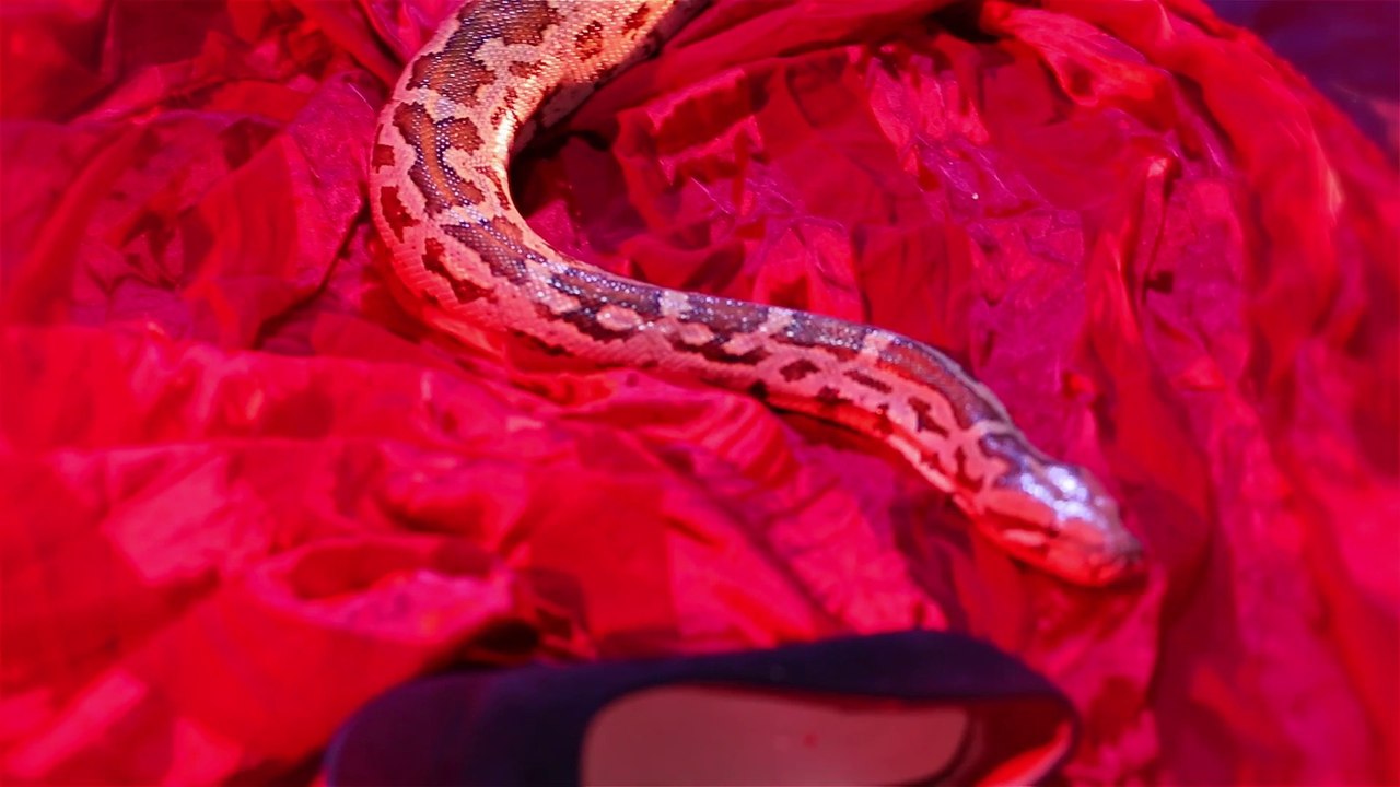 Neray Aah (Cover) | Mathira | Trailer | Latest Punjabi Song 2015 | Beyond Records