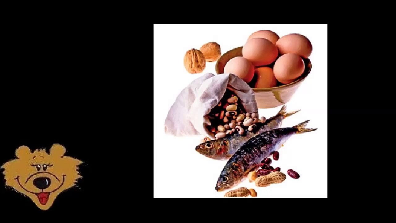 Bärklärung Protein Eiweiß