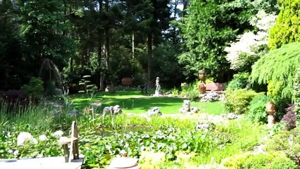 Rana kl. esculenta@Heilshorn, Germany - Final Version 2010