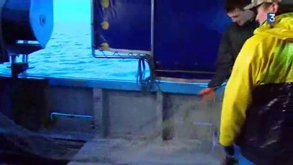 Parc naturel Marin  : Le fileyeur