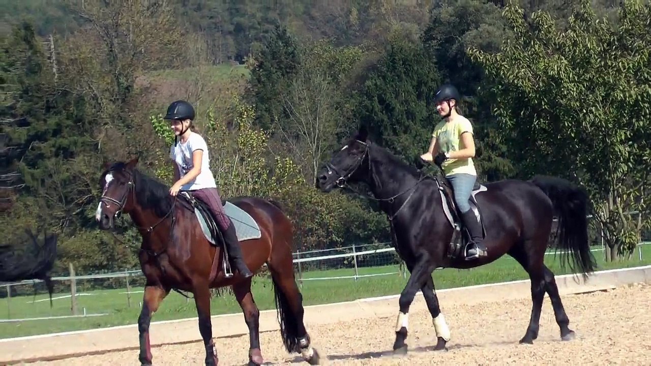 Reitstall Kiess in Lorch/Württ.