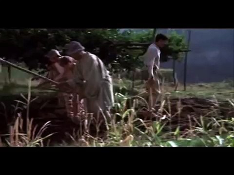 el decameron 3 pelicula de pier paolo pasolini.