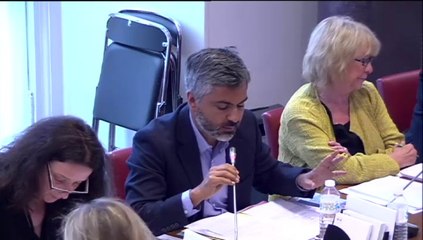 Coronado faux rédactionnel PPL prostitution déréférencement sites