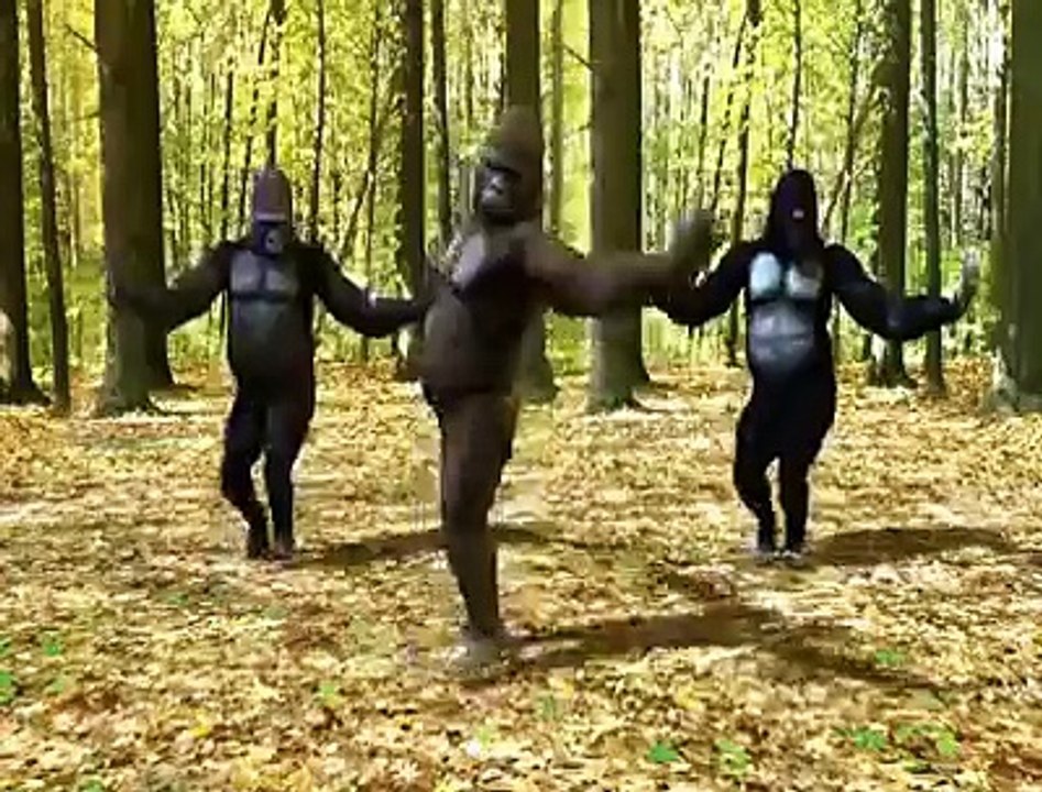Funny dance