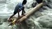 Brave Uttarakhandi Saving Drowning Animal in Floods