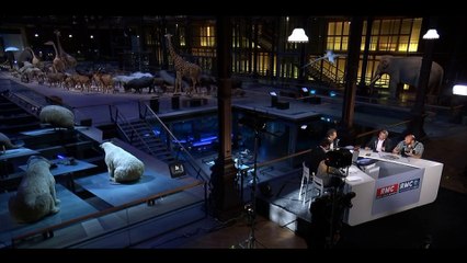 Vigie nature: et chacun de nous devient un scientifique de l'environnement