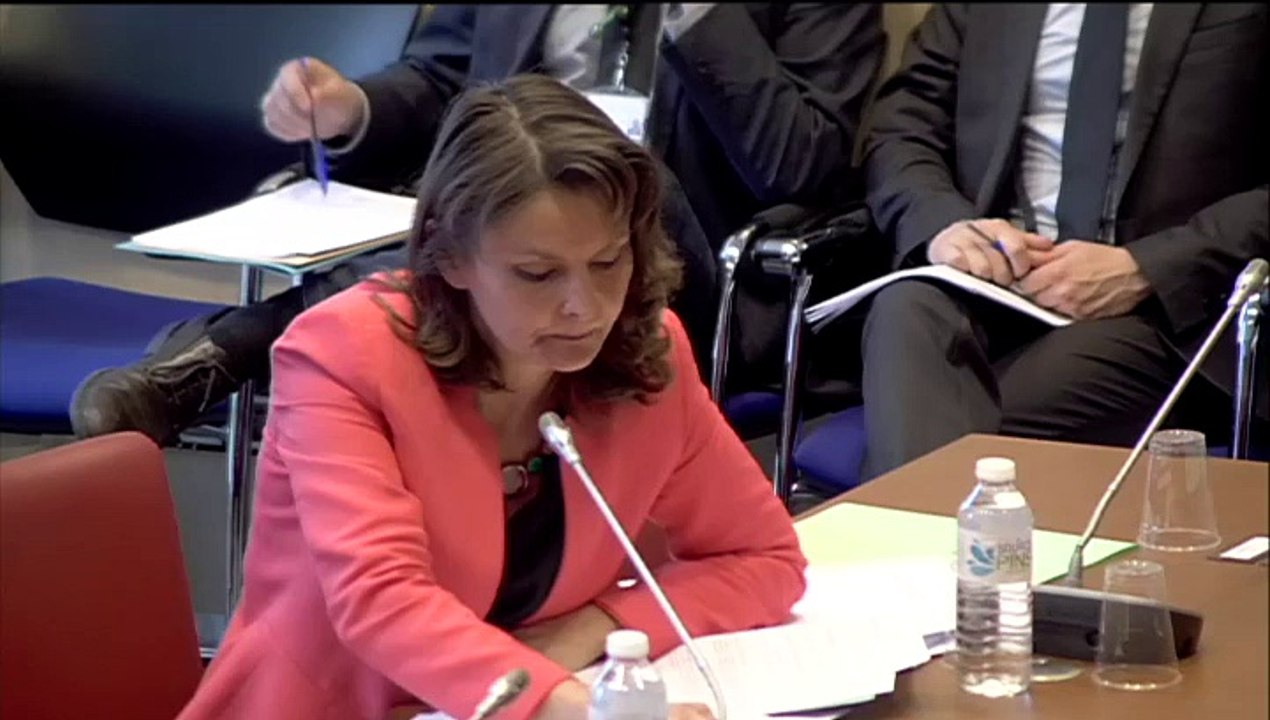 150603 JF Lamour en commission des finances