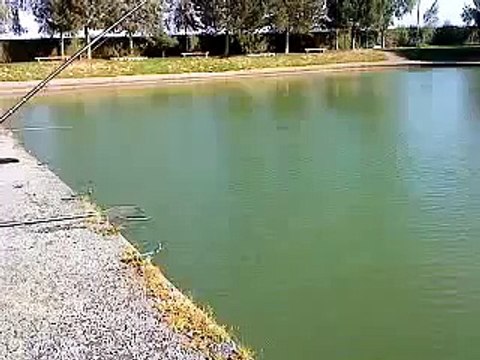 peche a la truite...a l etang du trappeur a forest-en-cis