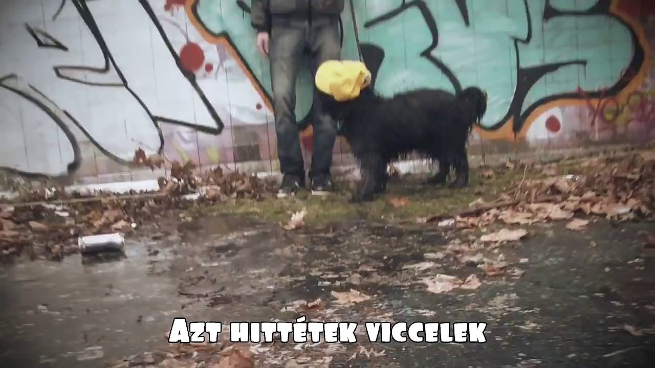 Pamkutya - Őszinte rapper