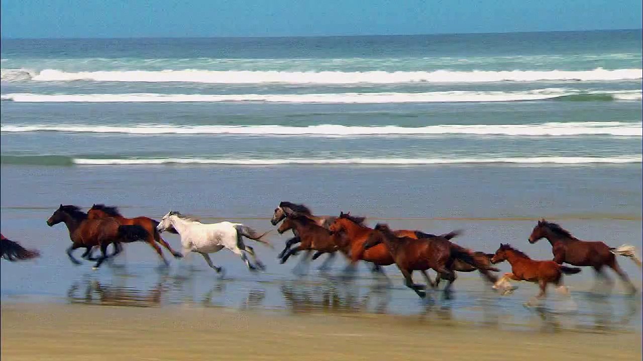 Home and Away Season 1 Episode 1 - 229
