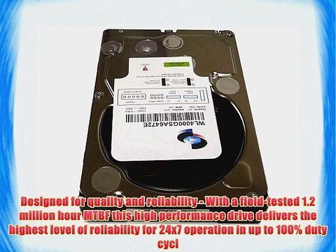 WL 4TB 7200RPM 64MB Cache SATA 6.0Gb/s (Enterprise Grade) 3.5 Hard Drive (For Server RAID NAS
