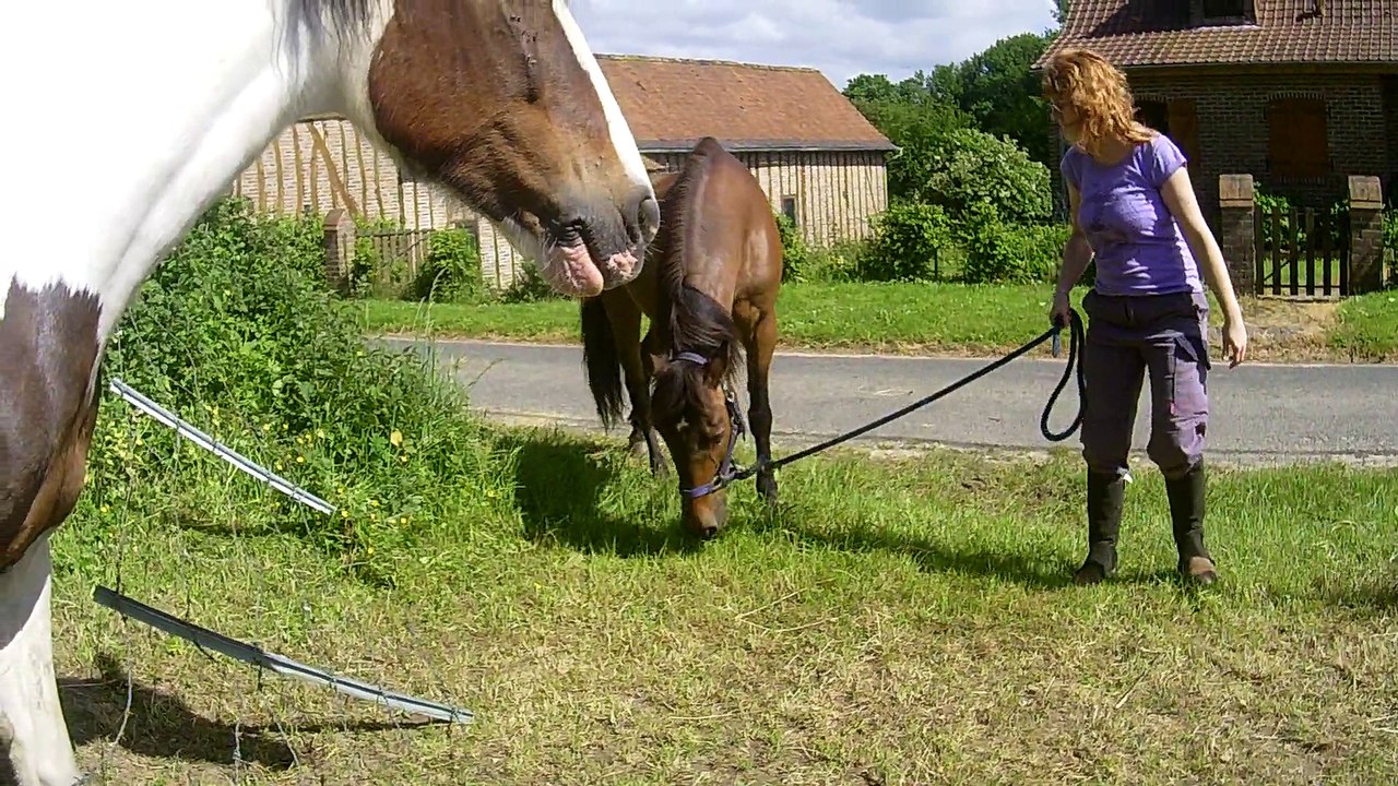 séance d éthologie improvisée au CREPP