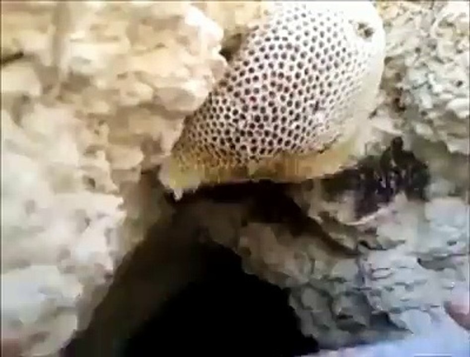 subhanallah
