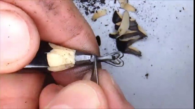 Kurşun Kalemle Yapılan Harika Bir Çalışma