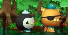 The Octonauts-Mudskippers(S3-E12)