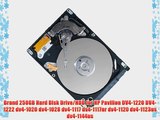 Brand 250GB Hard Disk Drive/HDD for HP Pavilion DV4-1220 DV4-1222 dv4-1020 dv4-1028 dv4-1117