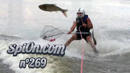 Le Zap de Spi0n n°269 - Zapping Web