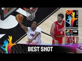 France v Serbia - Best Shot - 2014 FIBA Basketball World Cup