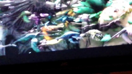 How to train your dragon 2 toothless is alpha