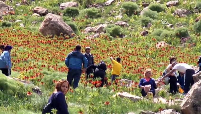 Tunceli'nin dağları "ağlayan gelinler"le süslendi
