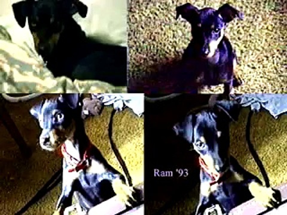 RAM Aka The Dobe