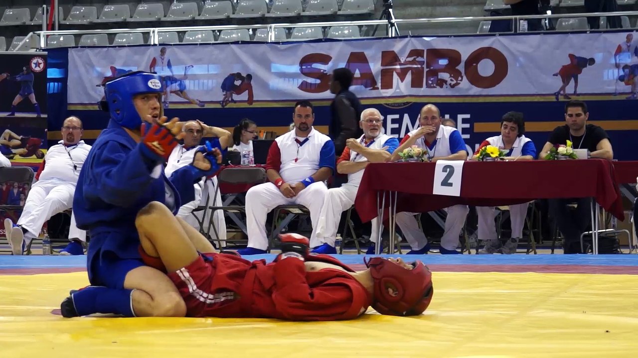 Sambo - Grand Prix de Paris 2015 - highlights