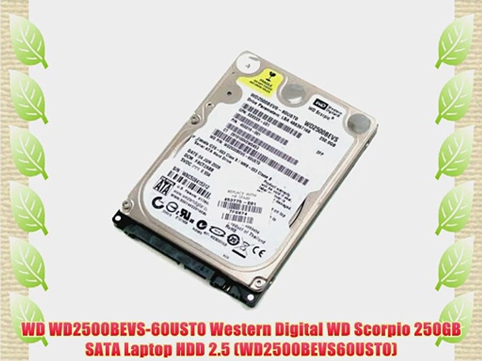 WD WD2500BEVS-60UST0 Western Digital WD Scorpio 250GB SATA Laptop HDD 2.5 (WD2500BEVS60UST0)