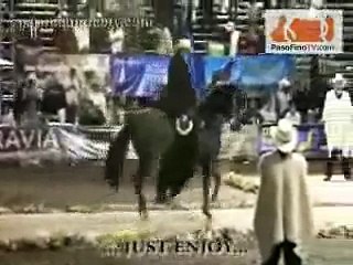 Finalisima Paso fino 2007 colombia