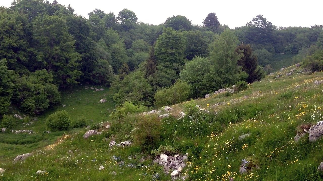 Lessinia 2015