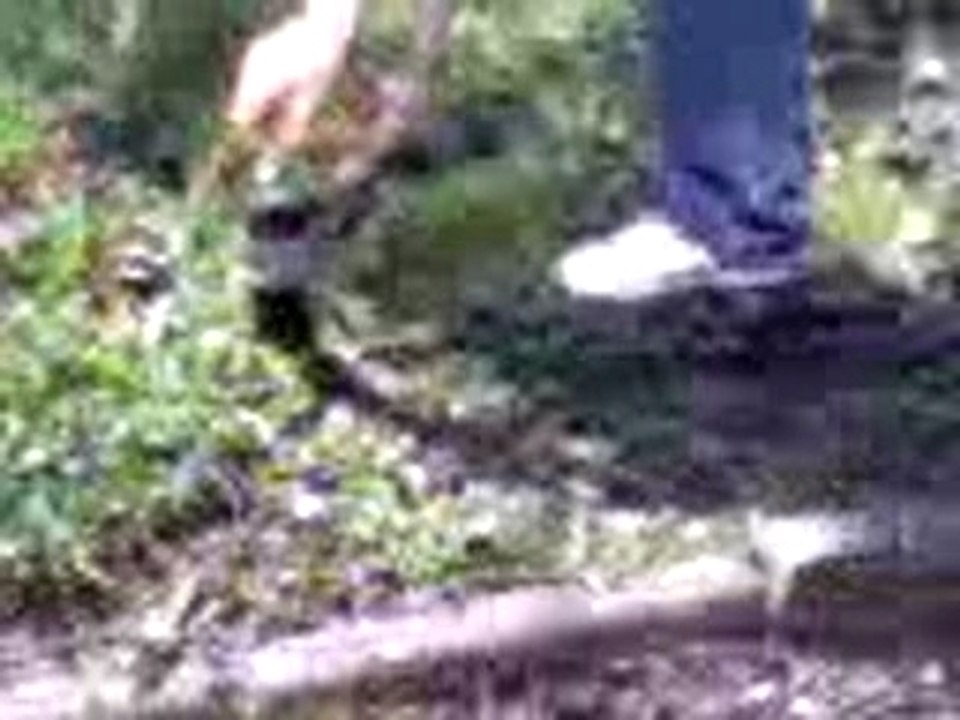 Coca + Mentos = Ca marche pas!