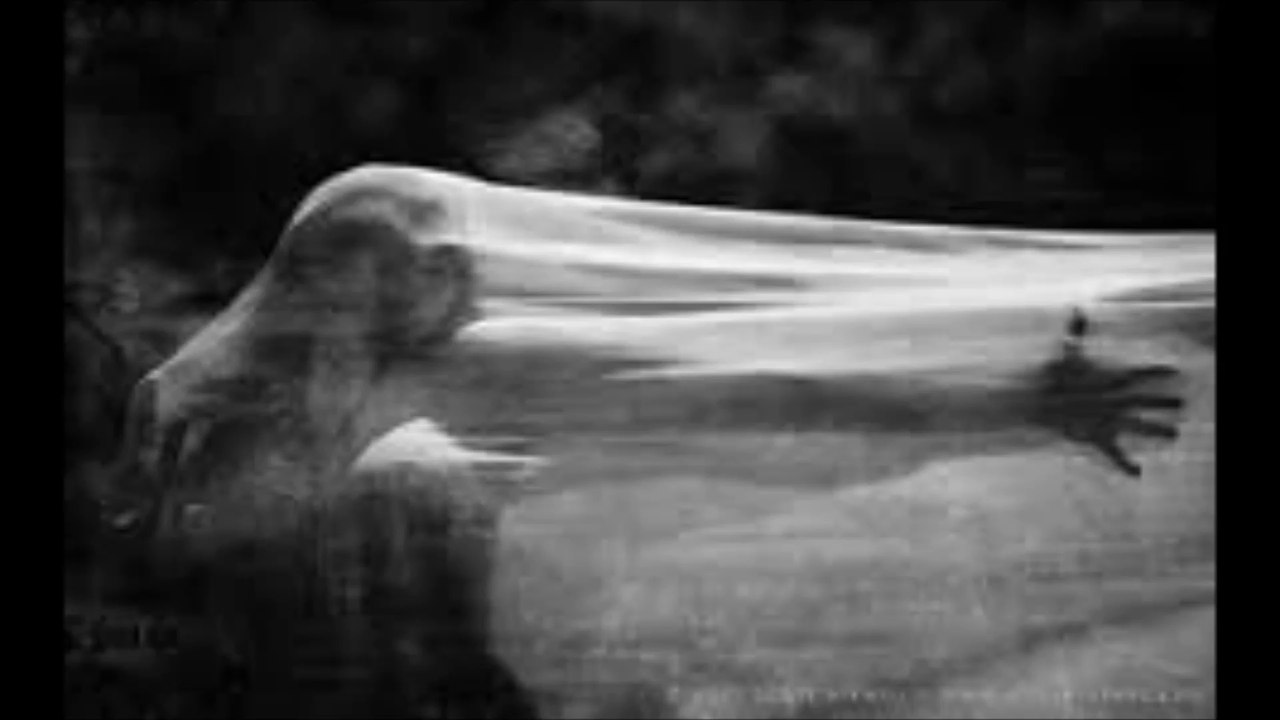 Raison d'Etre - Deep Enshrouded