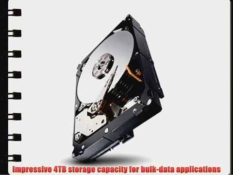 Seagate Enterprise Capacity 3.5 HDD?(Constellation ES) 4TB 7200RPM 6Gbps SAS 128 MB Cache Internal