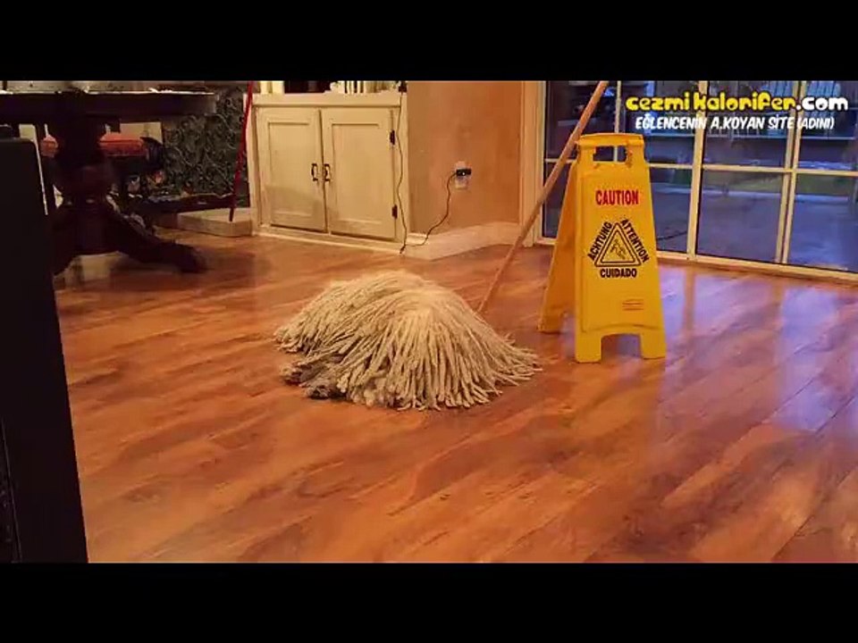 Böyle Güzel Paspas Görmediniz