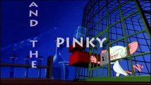 Pinky y Cerebro (Opening HD en Español)