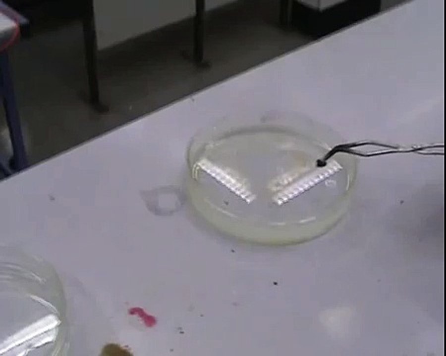 Reaktion von Lithium, Natrium und Kalium mit Wasser