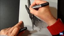 Trick Art, Drawing 3D Crocodile.